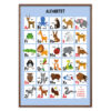 Alfabet plakat - Blå med dyr, flere størrelser